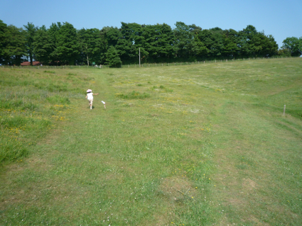 26 June 6.jpg